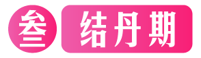 Lv3