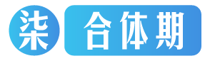 Lv7