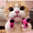 炽飞